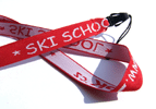 SKI School