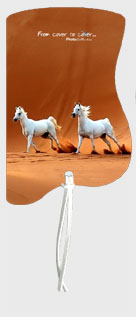 Koně na poušti